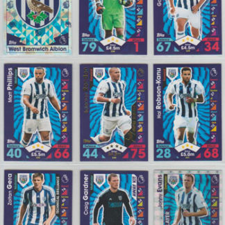 2016-17 Topps MA Premir League STAR PLAYER #329.  Gareth McAuley (West Bromwich Albion)