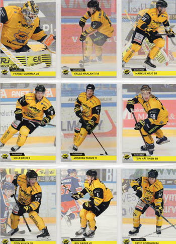 2018-19 Cardset #132 David Goodwin Saipa