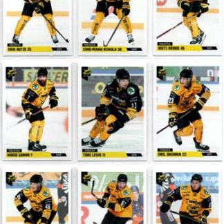 2019-20 Cardset Series 2 #121 Erik Autio Saipa
