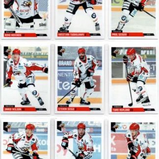 2019-20 Cardset Series 2 #133 Niko Hovinen (G) Sport