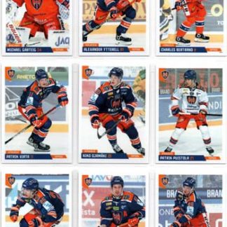 2019-20 Cardset Series 2 #145 Michael Garteig (G) Tappara