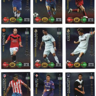 2009-10 Panini CL Super Strikes CHAMPION #207 Fernando Torres (Liverpool FC)  MINT --
