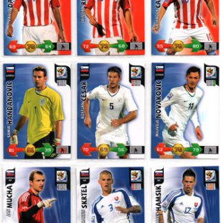 2010 Panini FIFA World Cup South Africa  Bostjan Cesar (Slovenija)