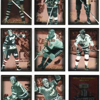 1996-97 Sisu Red Line JÄÄKIEKKOLEIJONA #188 Esko Niemi (G) Tappara