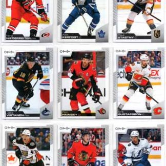 2020-21 O-Pee-Chee Hockey #365 Ron Hainsey Senators