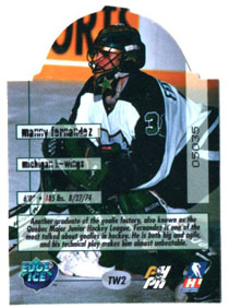 1995-96 Edge Ice THE WALL DIE-CUT Masks Manny Fernandez (G) K-Wings #TW2 - Image 3