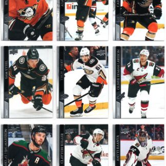 2020-21 Upper Deck Series 2 #251 Cam Fowler Ducks