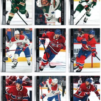 2020-21 Upper Deck Series 2 #344 Brad Hunt Wild