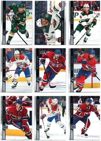 2020-21 Upper Deck Series 2 #344 Brad Hunt Wild
