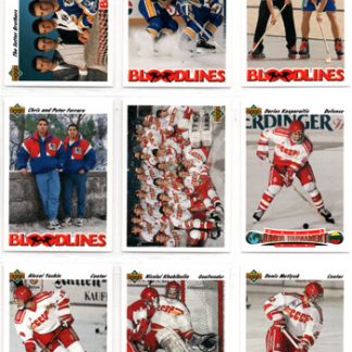 1991-92 Upper Deck Hockey #653 Denis Metlyuk RC CCCP