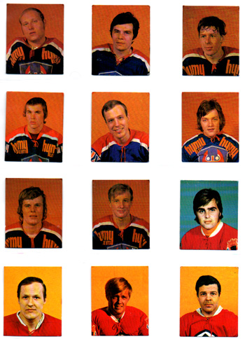 1972-73 Finnish Jääkiekko WILLIAMS Cards (RARE) - Image 9