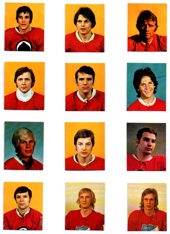 1972-73 Finnish Jääkiekko WILLIAMS Cards (RARE) - Image 11