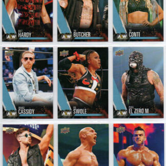 2021 UD All Elite Wrestling AEW Wrestling FIRST EDITION #45 Brian Cage