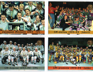 1994-95 SISU Series 1 Hockey EUROOPAN MESTARIT 1994 #193 TPS