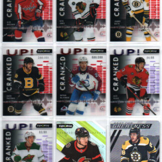2022-23 Synergy Hockey CAST FOR GREATNESS METAL CARD #CG-23 David Pastrnak Bruins
