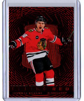2023-24 UD Extended Series SEEING RED #SR-45 Connor Bedard RC Blackhawks