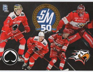 2024-25 BlueLine Ässät Team Set #NNo OVERSIZE CARD