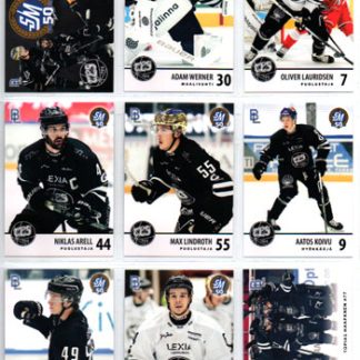 2024-25 BlueLine TPS Team Set #1 Adam Werner (G) TPS