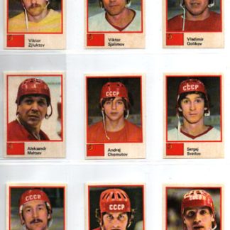 1982 Semic Hockey STICKERS MM-82 #64 Viktor Zjluktov Russia
