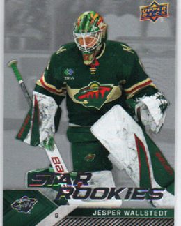 BONUS 65,00€, 2024-25 UD Star Rookies Set #7 Jesper Wallstedt (G) RC Wild